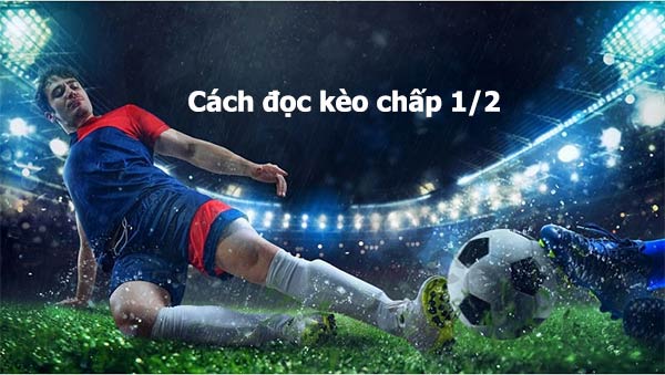 Một số cách đọc kèo chấp 1/2 từ những người chơi lâu năm Một số cách đọc kèo chấp 1/2 từ những người chơi lâu năm